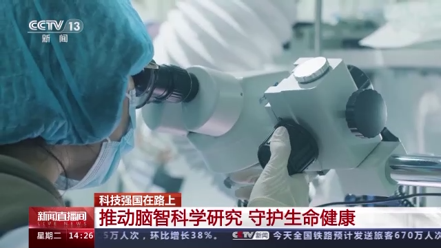 科技強國在路上丨守護生命健康 這些生物醫(yī)學領域有了新進展-肽度TIMEDOO