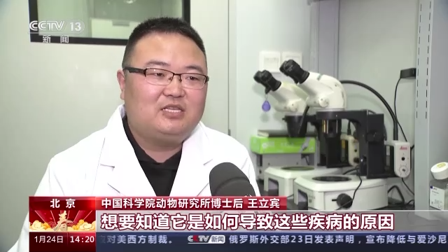 科技強國在路上丨守護生命健康 這些生物醫(yī)學領域有了新進展-肽度TIMEDOO