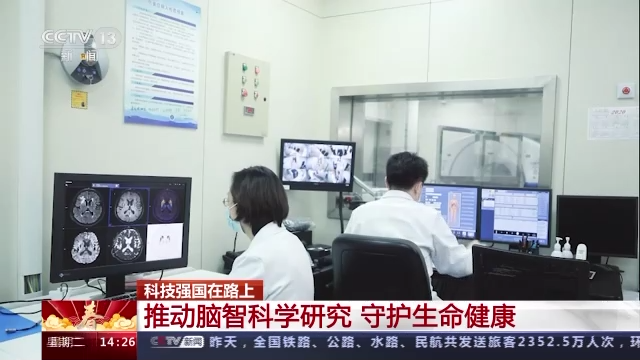 科技強國在路上丨守護生命健康 這些生物醫(yī)學領域有了新進展-肽度TIMEDOO