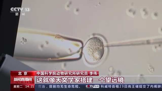 科技強國在路上丨守護生命健康 這些生物醫(yī)學領域有了新進展-肽度TIMEDOO