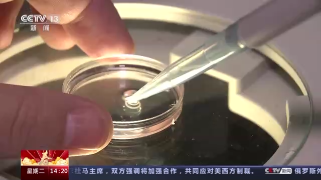 科技強國在路上丨守護生命健康 這些生物醫(yī)學領域有了新進展-肽度TIMEDOO