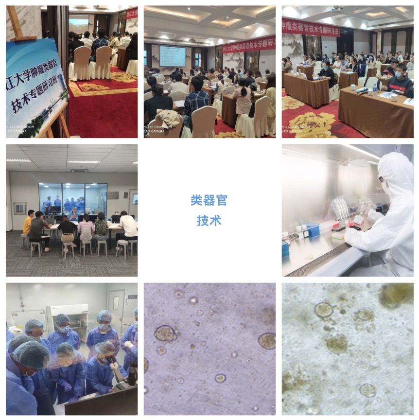 2023年6月8-11日|浙江大學(xué)第5期腫瘤類器官專題研習(xí)班(名額有限)-肽度TIMEDOO