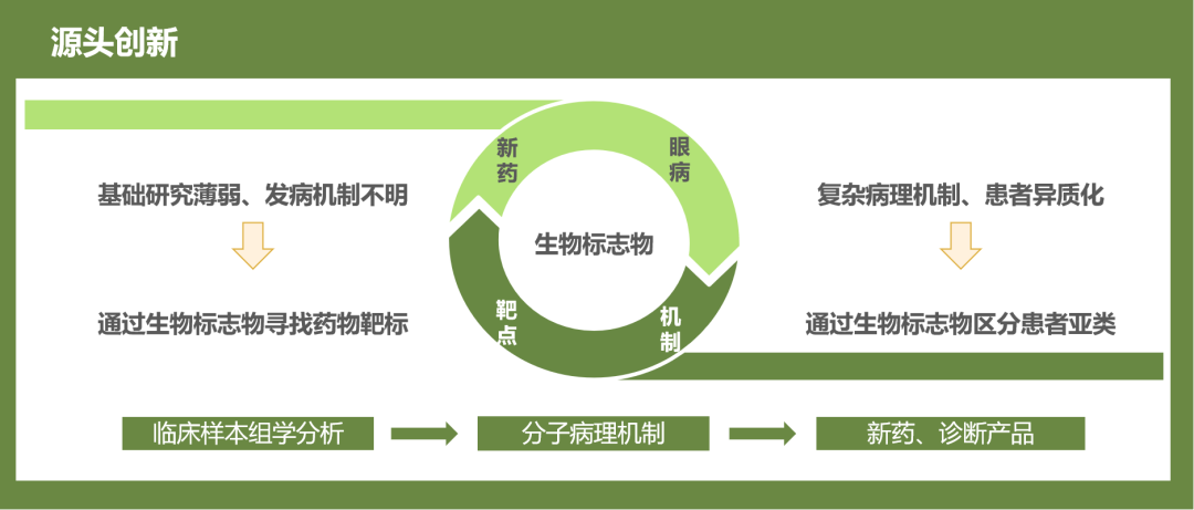 盛元醫(yī)藥完成A+輪融資，持續(xù)聚焦眼科創(chuàng)新藥的臨床開發(fā)-肽度TIMEDOO