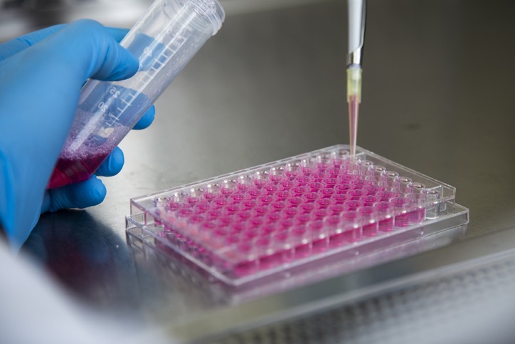 利用數(shù)據(jù)湖和自然語言生成的新方法自動(dòng)篩選最佳生物藥物細(xì)胞系-肽度TIMEDOO