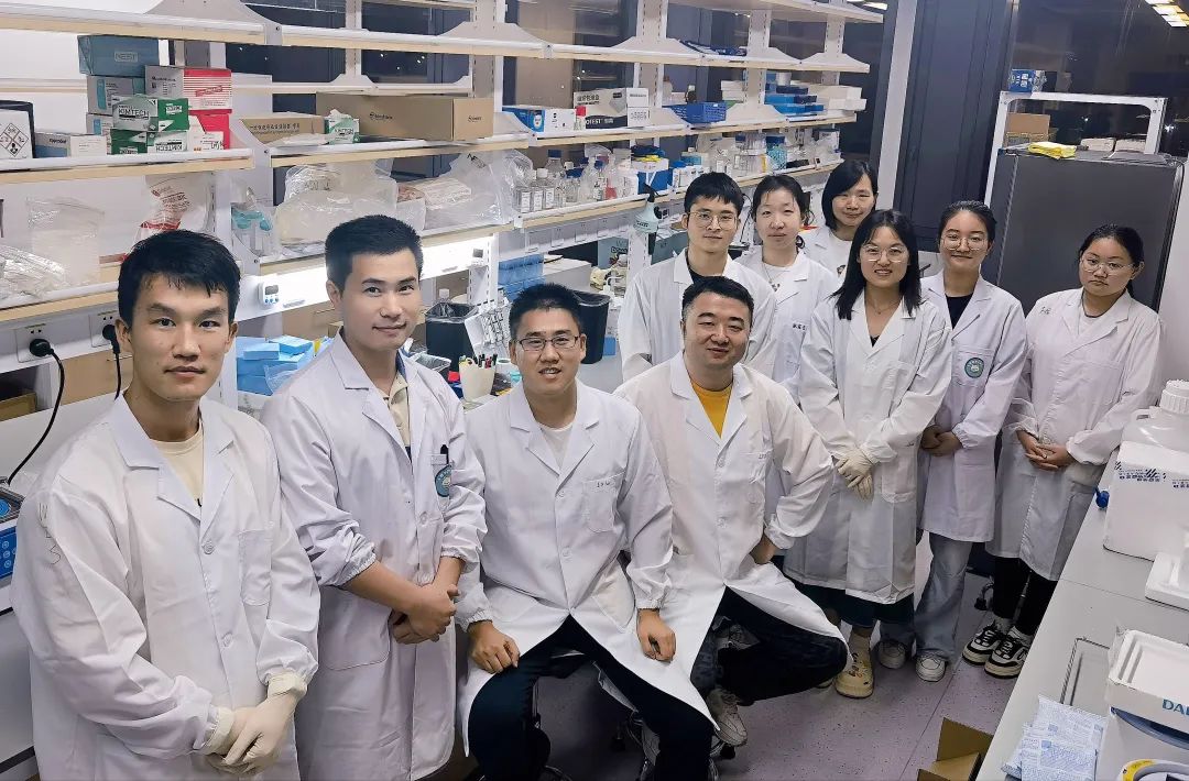 新手PI回國發(fā)首篇頂刊，研究刷新教科書認知！-肽度TIMEDOO