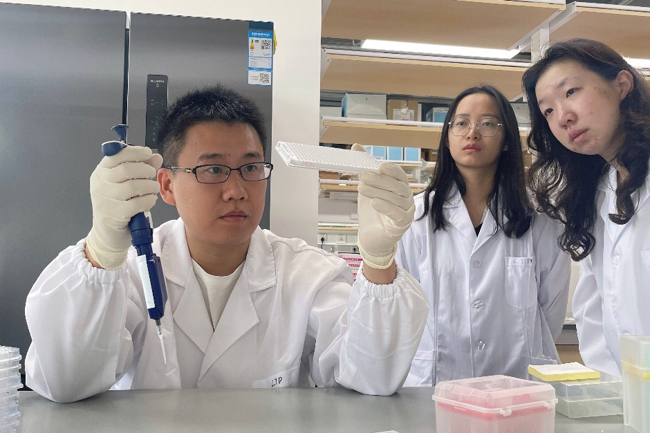 新手PI回國發(fā)首篇頂刊，研究刷新教科書認知！-肽度TIMEDOO