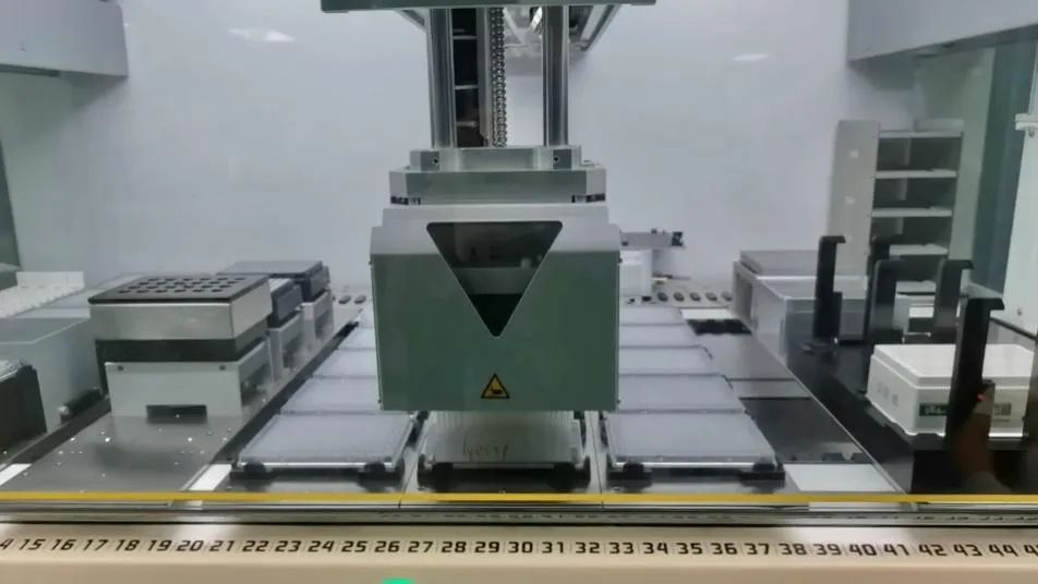 新手PI回國發(fā)首篇頂刊，研究刷新教科書認知！-肽度TIMEDOO