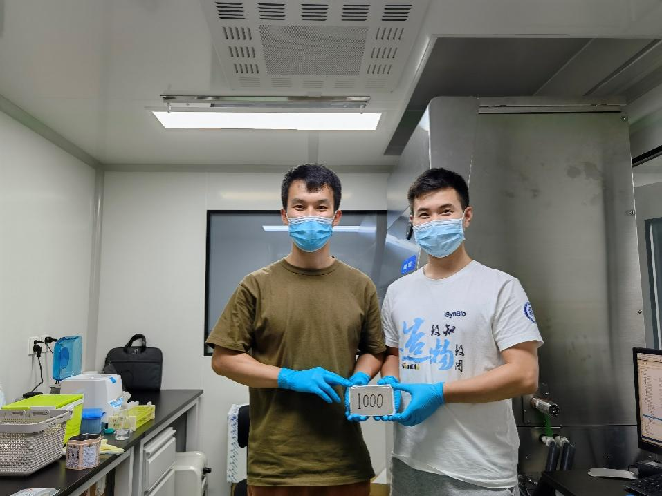 新手PI回國發(fā)首篇頂刊，研究刷新教科書認知！-肽度TIMEDOO