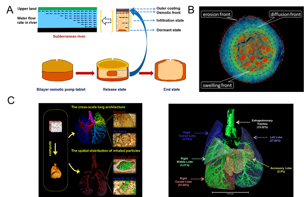 上海藥物所發(fā)表關(guān)于結(jié)構(gòu)藥劑學(xué)的綜述文章-肽度TIMEDOO