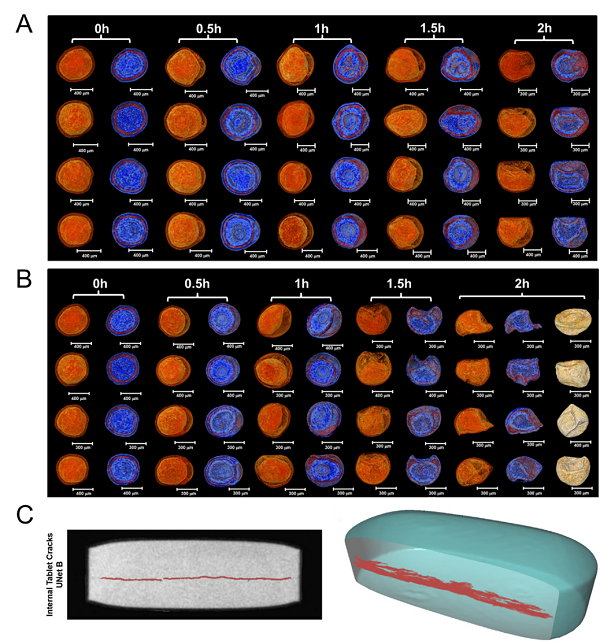 上海藥物所發(fā)表關(guān)于結(jié)構(gòu)藥劑學(xué)的綜述文章-肽度TIMEDOO