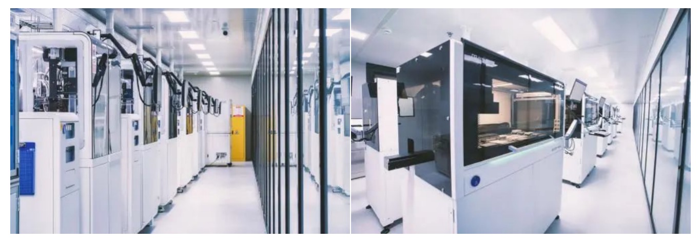 華大參與里程碑項目重大進展！Cell及子刊發(fā)布“人工合成酵母基因組計劃”最新成果-肽度TIMEDOO