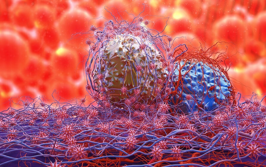 ONCOTECH技術(shù):融合病毒與細(xì)胞療法的前沿癌癥免疫創(chuàng)新-肽度TIMEDOO