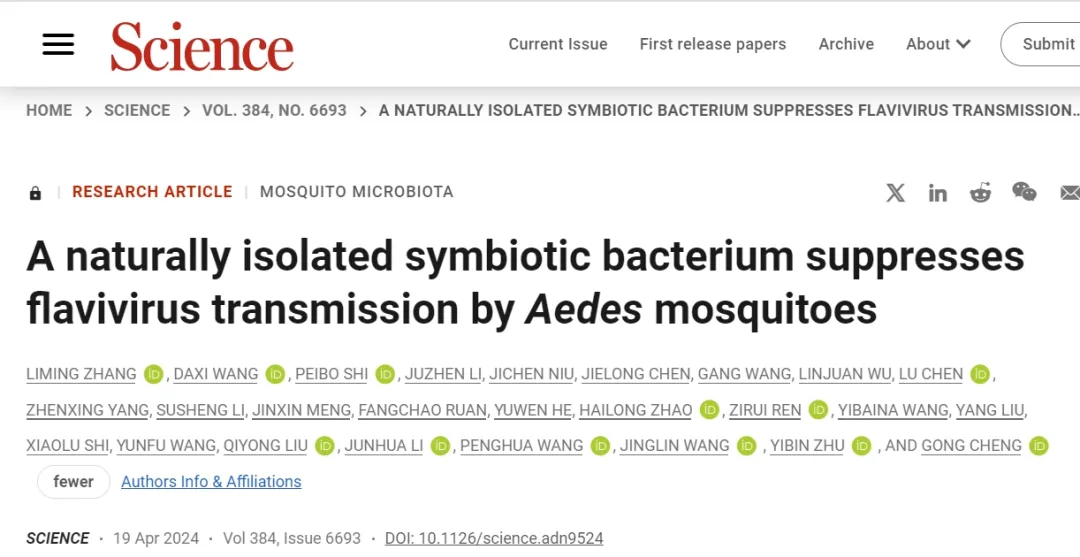 Science！清華大學聯(lián)合華大等團隊，發(fā)現(xiàn)共生菌環(huán)境干預可阻斷蚊媒病毒傳播流行-肽度TIMEDOO
