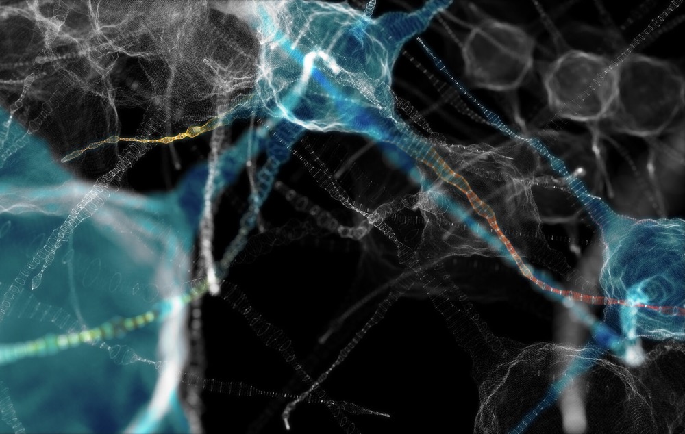 改良反義寡核苷酸:中樞神經(jīng)系統(tǒng)疾病治療的新希望-肽度TIMEDOO