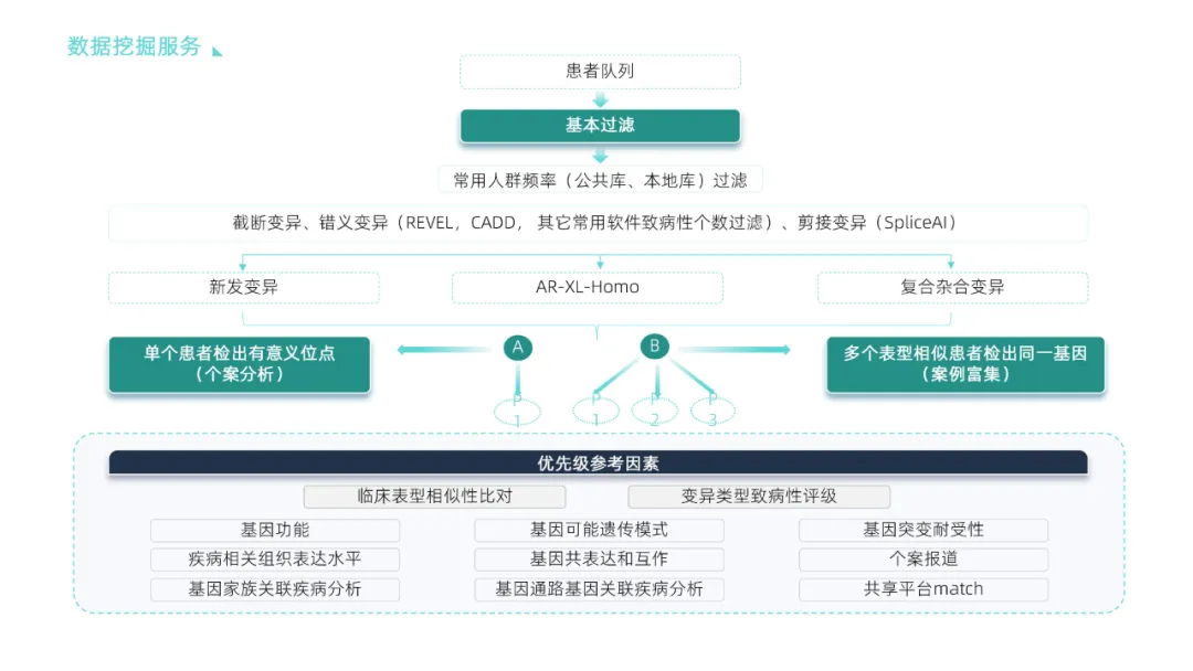 賽?；蛲瓿蓛|元C輪融資，領跑遺傳/罕見病精準防控與診療賽道-肽度TIMEDOO