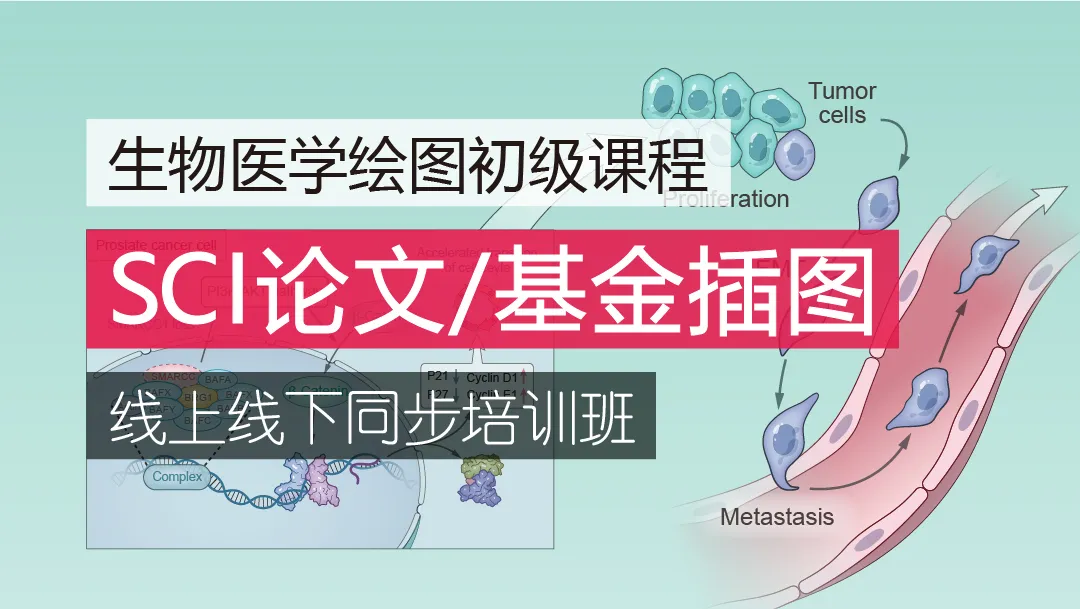 2024年6月22-23日(周六日)SCI論文/基金插圖培訓(xùn)班(線上線下同步)-肽度TIMEDOO
