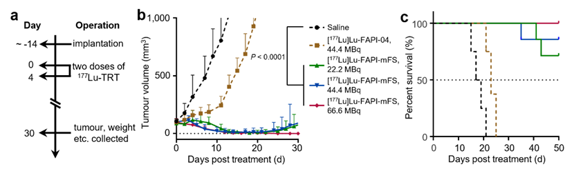 北京大學(xué)劉志博團(tuán)隊(duì)在《自然》發(fā)文報(bào)道靶向共價(jià)放射性藥物-肽度TIMEDOO