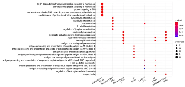 前沿科技課程：深度學(xué)習(xí)、單細(xì)胞多組學(xué)與代謝組學(xué)三大領(lǐng)域-肽度TIMEDOO