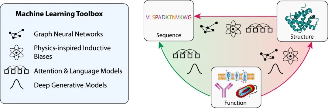 前沿科技課程：深度學(xué)習(xí)、單細(xì)胞多組學(xué)與代謝組學(xué)三大領(lǐng)域-肽度TIMEDOO