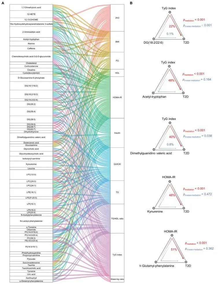前沿科技課程：深度學(xué)習(xí)、單細(xì)胞多組學(xué)與代謝組學(xué)三大領(lǐng)域-肽度TIMEDOO