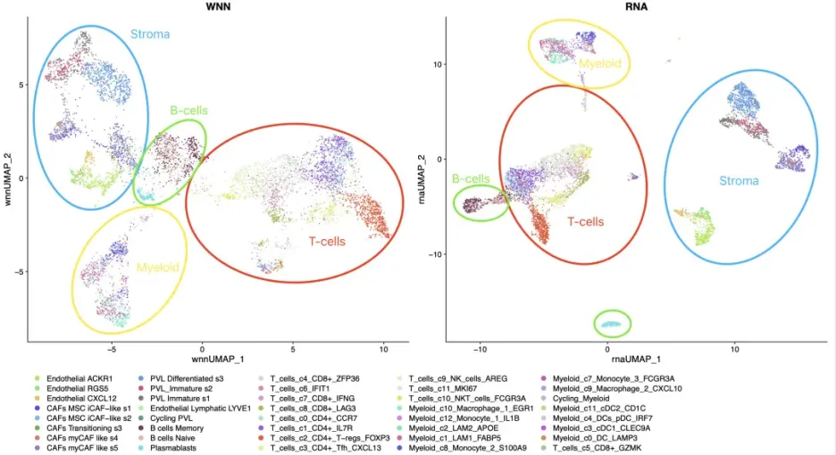 前沿科技課程：深度學(xué)習(xí)、單細(xì)胞多組學(xué)與代謝組學(xué)三大領(lǐng)域-肽度TIMEDOO