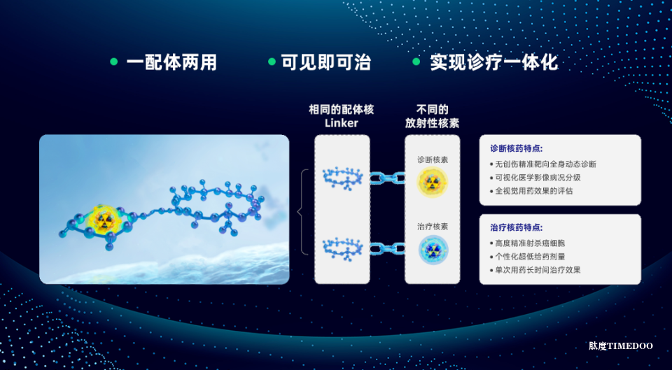 晶核生物完成A輪融資,加快靶向核藥全球臨床研發(fā)-肽度TIMEDOO