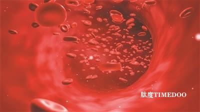 浙大研究團(tuán)隊(duì)定義細(xì)胞偶聯(lián)藥物-肽度TIMEDOO