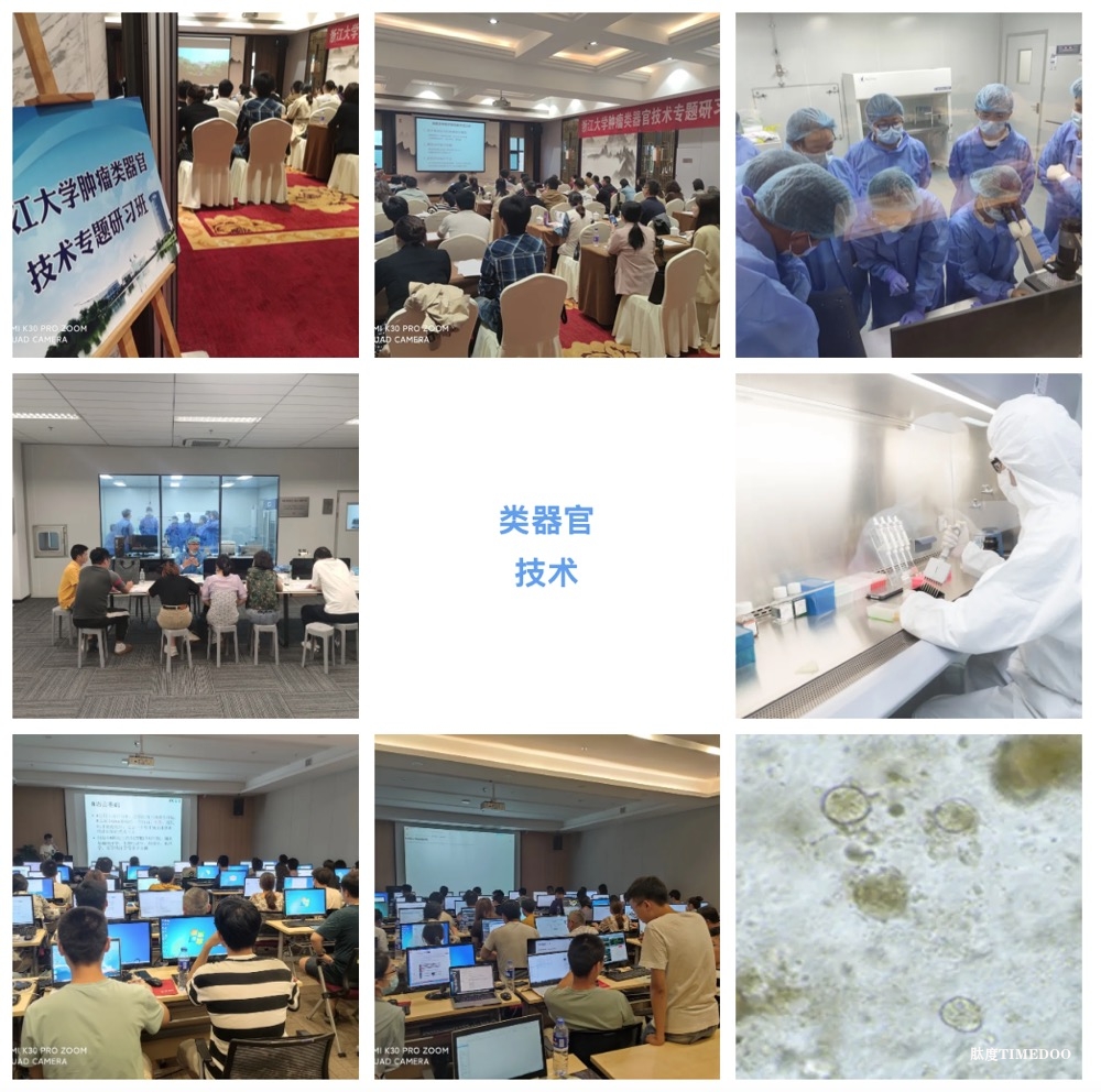 2024年11月12-16日·浙江大學第8期“類器官課題設計+組學” 專題研習班-肽度TIMEDOO