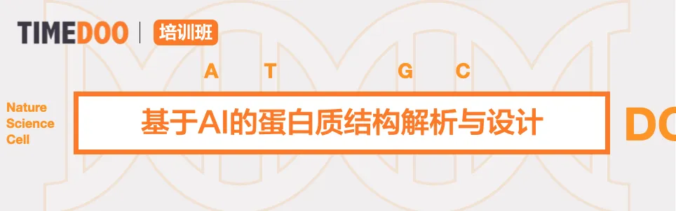 2024年12月27-29日基于AI的蛋白質(zhì)結(jié)構(gòu)解析與設(shè)計(jì)-肽度TIMEDOO