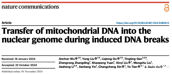 image1.png 北京大學(xué)生命科學(xué)學(xué)院胡家志課題組揭示線粒體DNA片段可廣泛整合入核基因組-肽度TIMEDOO