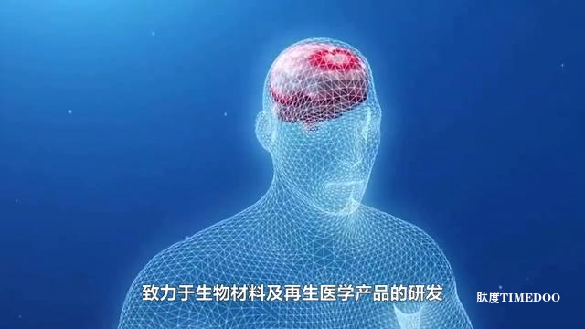 中國腦機(jī)接口領(lǐng)域11大領(lǐng)軍企業(yè)-肽度TIMEDOO