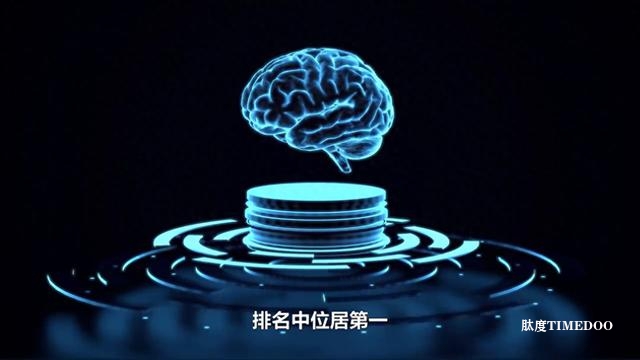 中國腦機(jī)接口領(lǐng)域11大領(lǐng)軍企業(yè)-肽度TIMEDOO