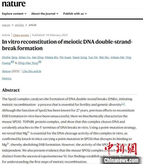 我國學(xué)者最新研究為生殖醫(yī)學(xué)與遺傳疾病研究開辟新路徑-肽度TIMEDOO