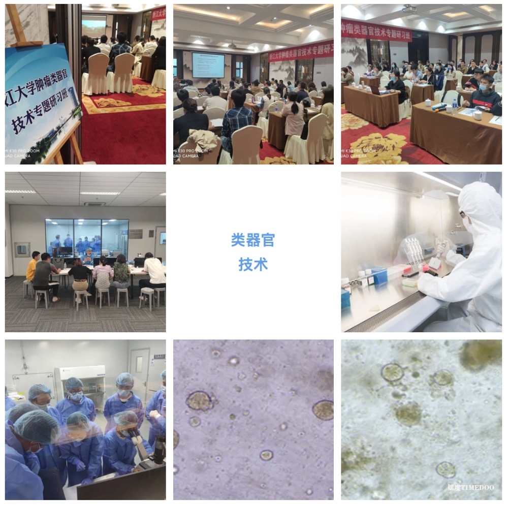 2025年4月17日-20日·浙江大學(xué)第9期類器官技術(shù)專題研習(xí)班-肽度TIMEDOO