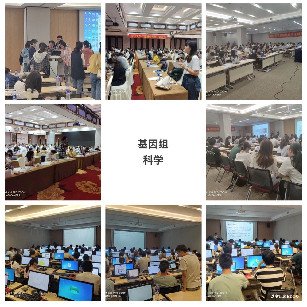 2025年4月6-11日·浙江大學(xué)AI+生物信息學(xué)暨生物信息數(shù)據(jù)分析專題研習(xí)班-肽度TIMEDOO