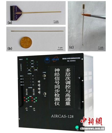 我國腦機(jī)接口臨床試驗(yàn)成功 實(shí)現(xiàn)腦深部腫瘤精準(zhǔn)定位-肽度TIMEDOO