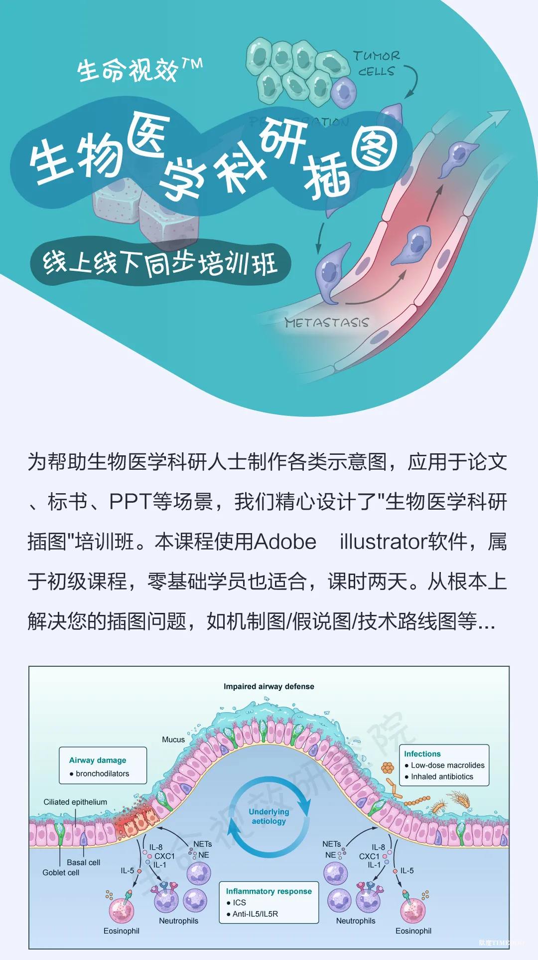 想自由創(chuàng)作精美的科研插圖嗎？專業(yè)的培訓班來了|10月18-19日-肽度TIMEDOO