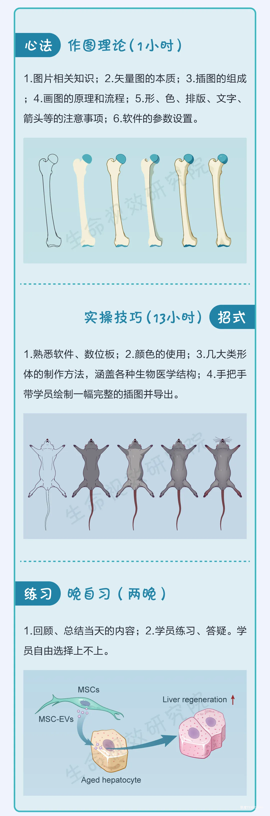 想自由創(chuàng)作精美的科研插圖嗎？專業(yè)的培訓班來了|10月18-19日-肽度TIMEDOO