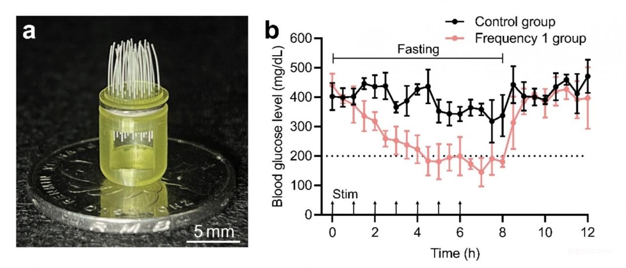 “聲控膠囊”巧用共振原理控釋藥物-肽度TIMEDOO