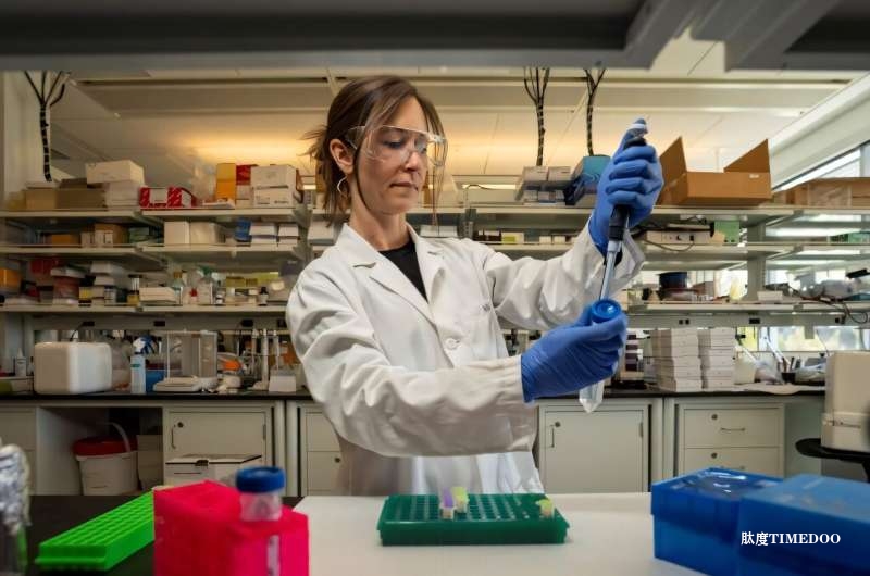 腸道微生物或揭示睡眠之謎:華盛頓州立大學(xué)新研究發(fā)現(xiàn)細菌與睡眠密切相關(guān)-肽度TIMEDOO