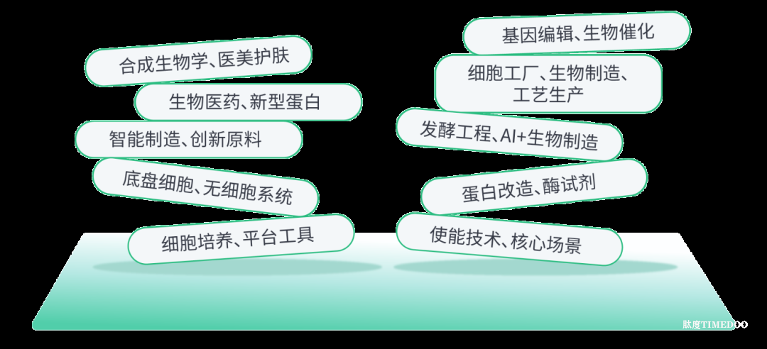 undefined 2025年11月26-27日·合肥·BioONE2025第七屆生物制造產(chǎn)業(yè)年度峰會(huì)-肽度TIMEDOO