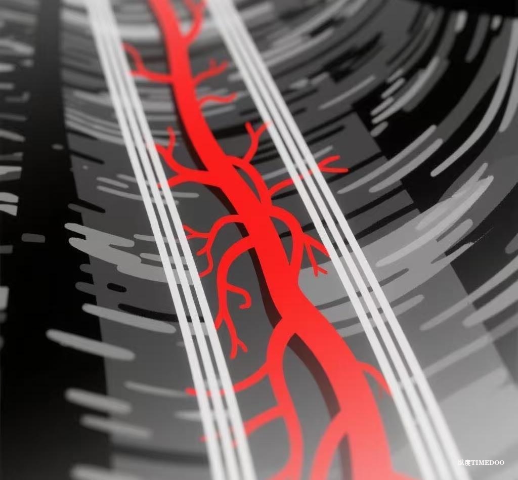 四維超聲技術(shù)清晰呈現(xiàn)器官細微血流 為研究和診斷血液循環(huán)疾病提供新視角-肽度TIMEDOO