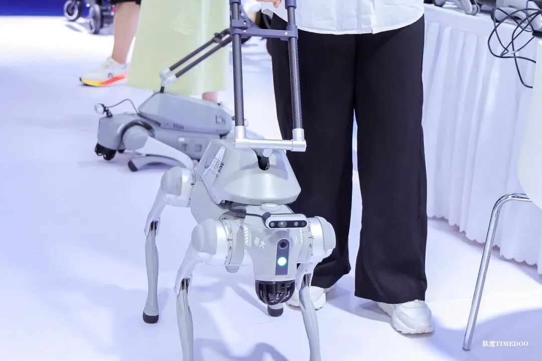 殘?zhí)貖W會開幕在即，“科技助殘”廣州這樣做！-肽度TIMEDOO